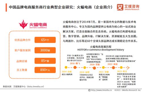 艾媒咨询 2023年中国品牌电商服务商行业研究报告