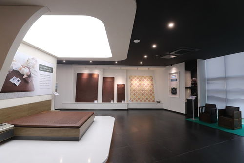 可喜安家庭喜迎新力量，健康咨询服务为行业注入新活力